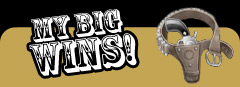 dead or alive online slot game my big wins!